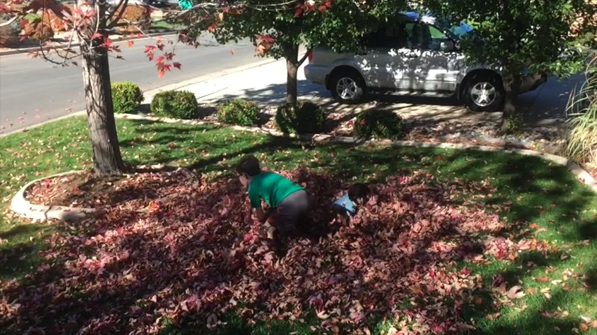 Leaves: Slow motion fun in the leaf pile