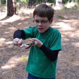 Whittling