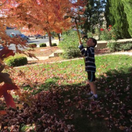 Feeling better? Time to rake!