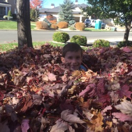 Ted is swallowed by the leaf pile