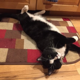 Warming up his belly. It's cold outside!
