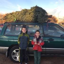 Tree time!