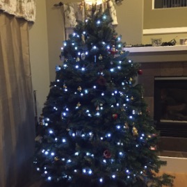 Tree!