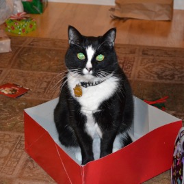 Henry's favorite gift