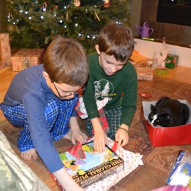 Henry observes the new puzzle