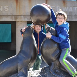 Fun with seals