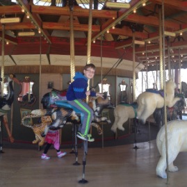 Arican wild dog carousel seat