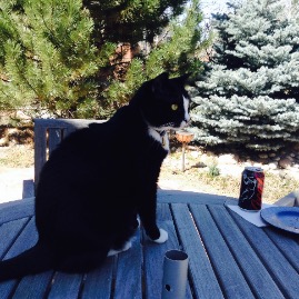 My outside lunch buddy
