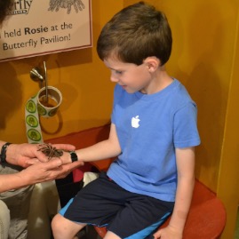 Teddy holds Rosie the tarantula