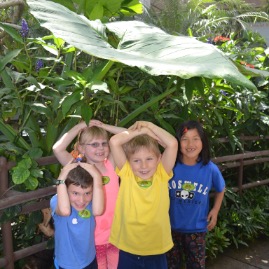 Tropical rain in the butterfly area!