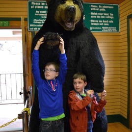Another bear!