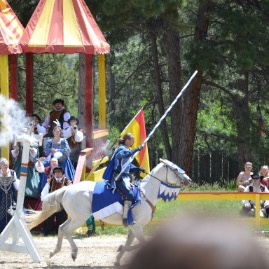 Jousting tournament of skill