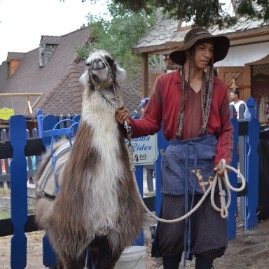 Llama rides??