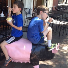Ice cream on a ninja pig