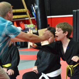 Palm heel strike through the board