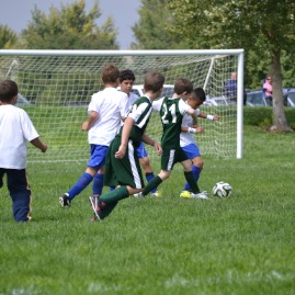 In the action