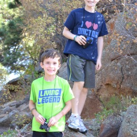 Looking for elk in Rocky Mountain National Park