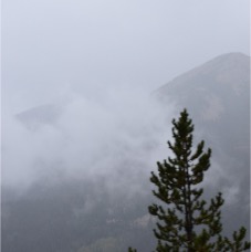 DSC_3638.JPG