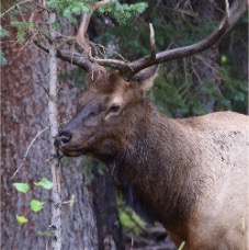 DSC_3687.JPG