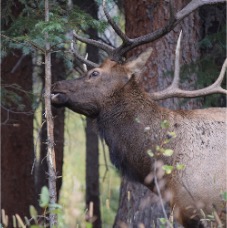 DSC_3717.JPG