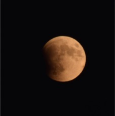 DSC_4060.jpg