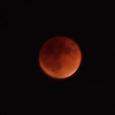 DSC_4125.jpg