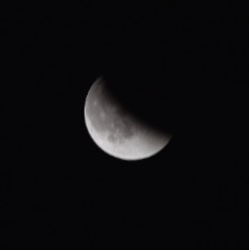 DSC_4130.jpg
