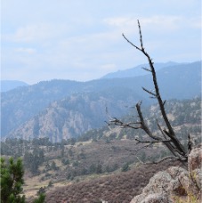 DSC_4571.JPG