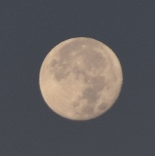 DSC_5003.jpg