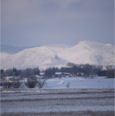 DSC_5560.JPG