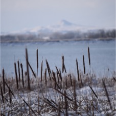 DSC_5562.JPG