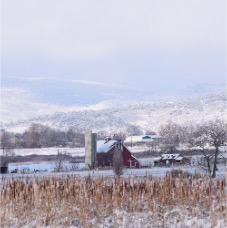 DSC_5566.JPG