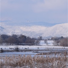 DSC_5568.JPG