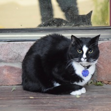 DSC_9952.JPG