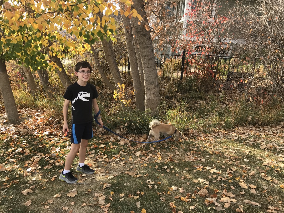 Ted walks the neighbor's dog on a nice Fall day