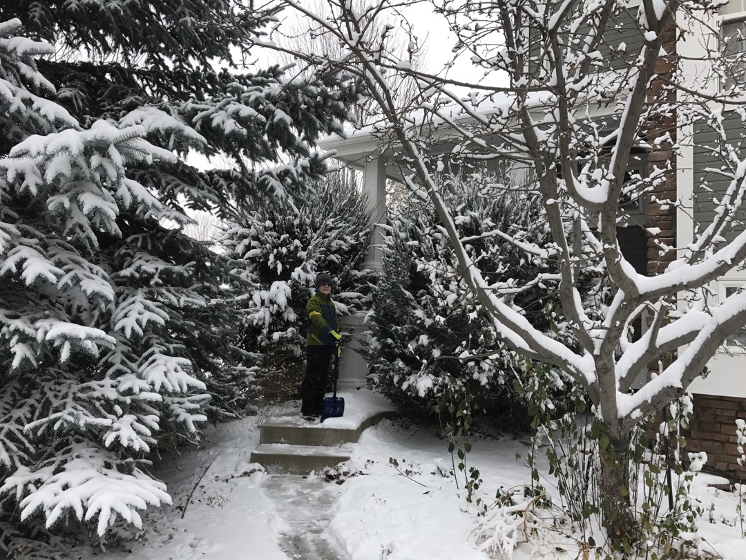 Snowy helper