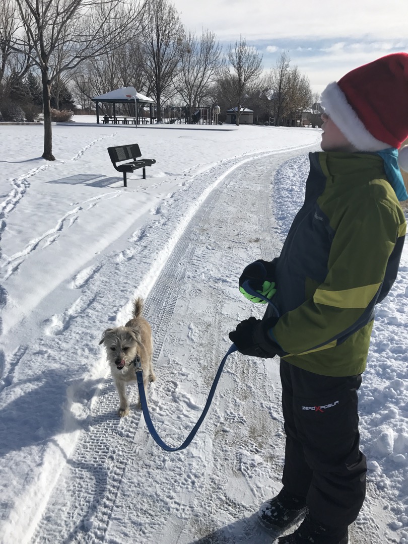 Tim takes Gatsby for a walk on a frigid morning