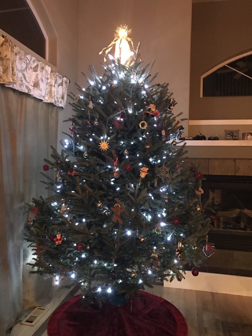 Tree