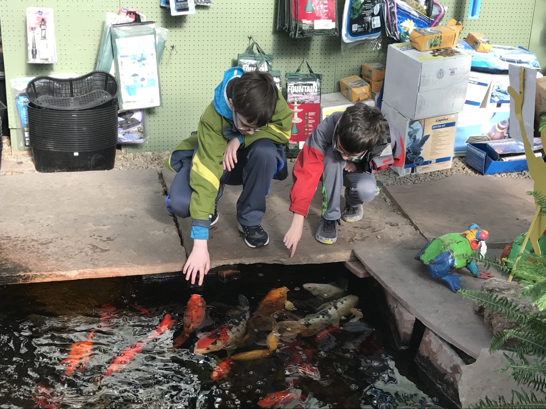 The boys are fish food