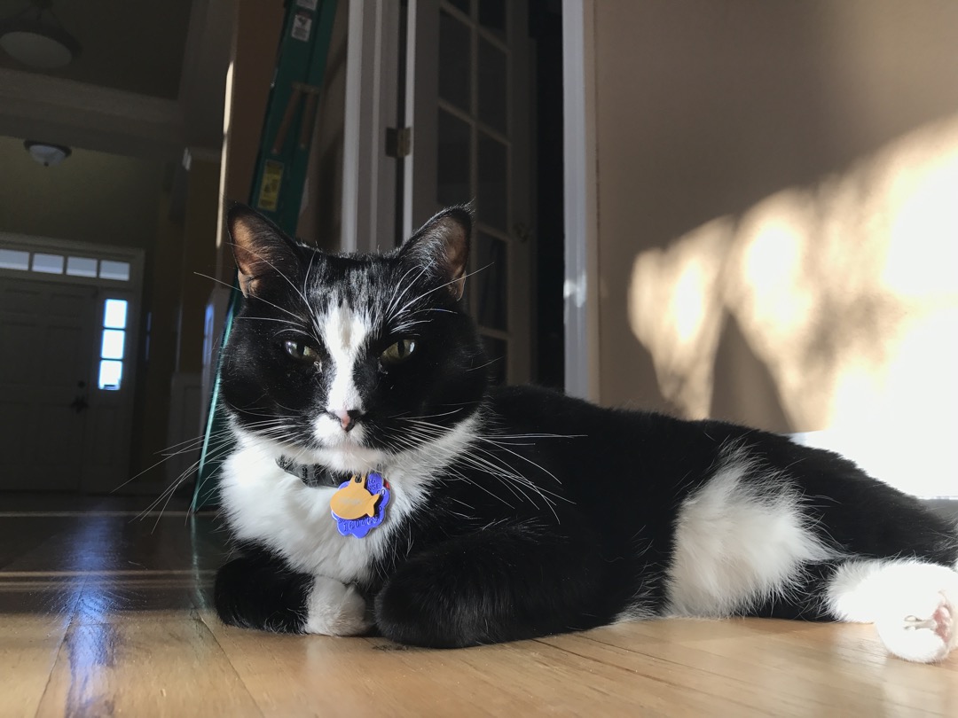 Henry and his sun beam