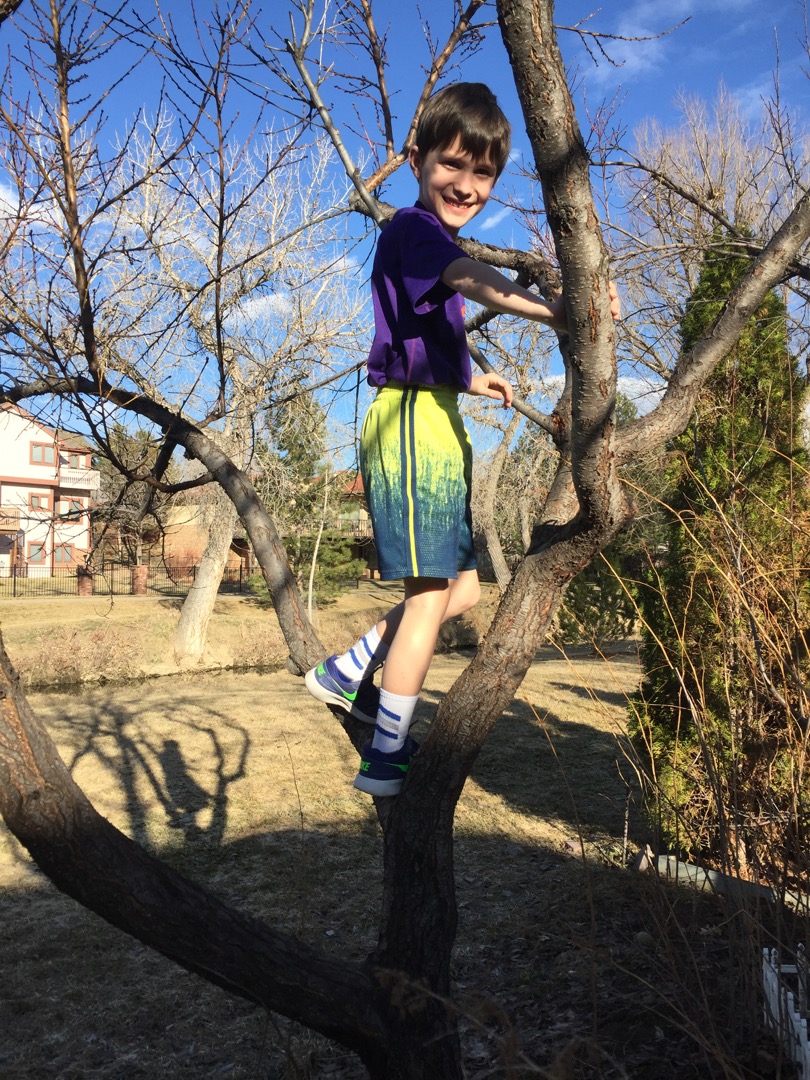 Ted in a tree