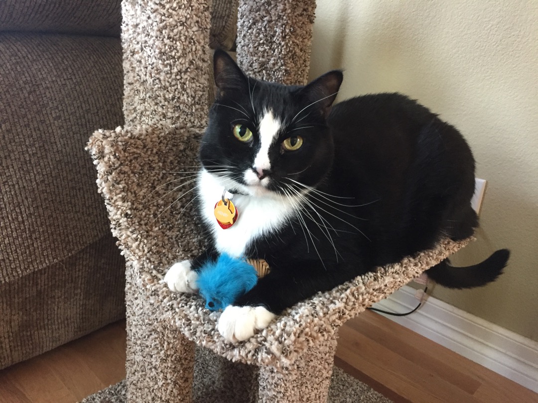 Henry and friend