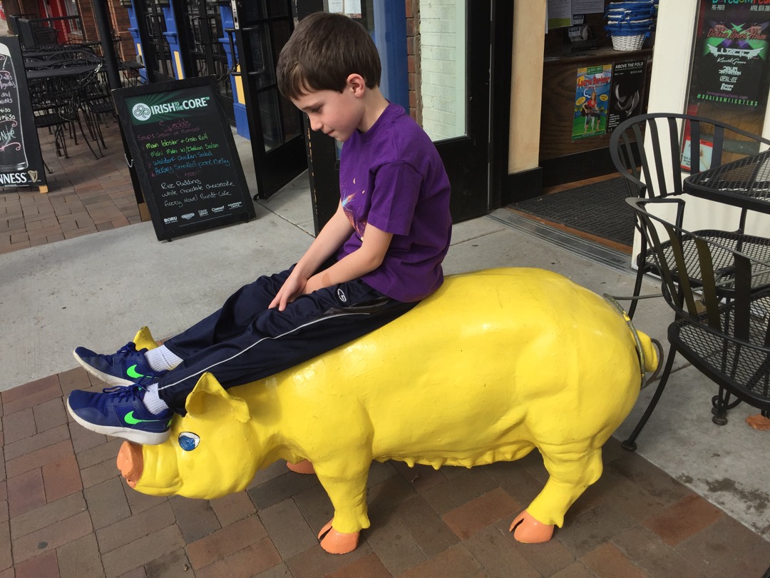 On a yellow pig