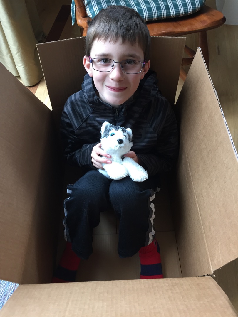 Ted-in-a-box