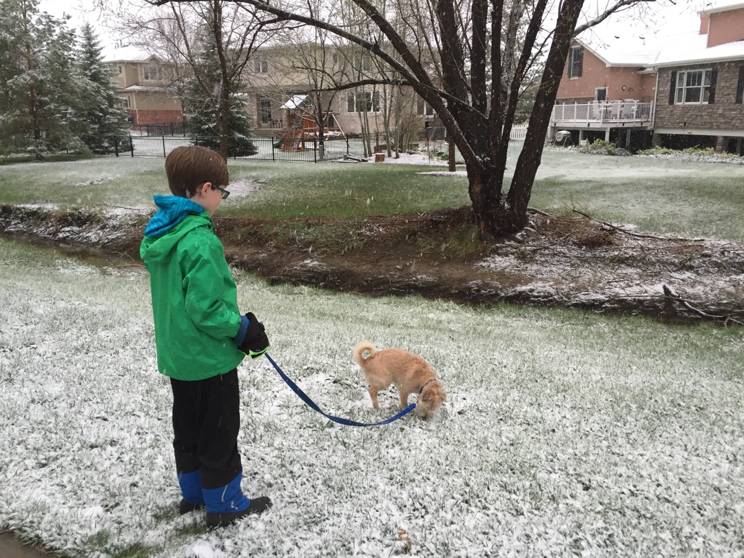 Tim's turn with Gatsby, in the snow