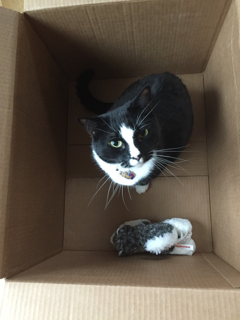 Henry-in-a-box