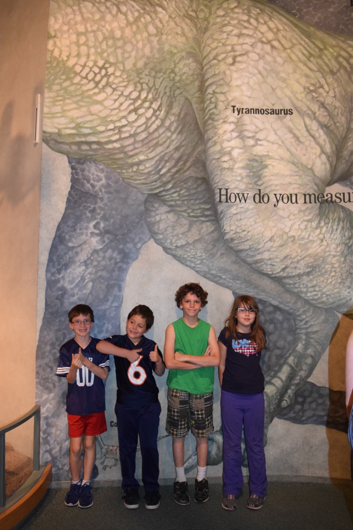 Ted and friends measure up to a T-Rex at the Denver Museum of Nature and Science