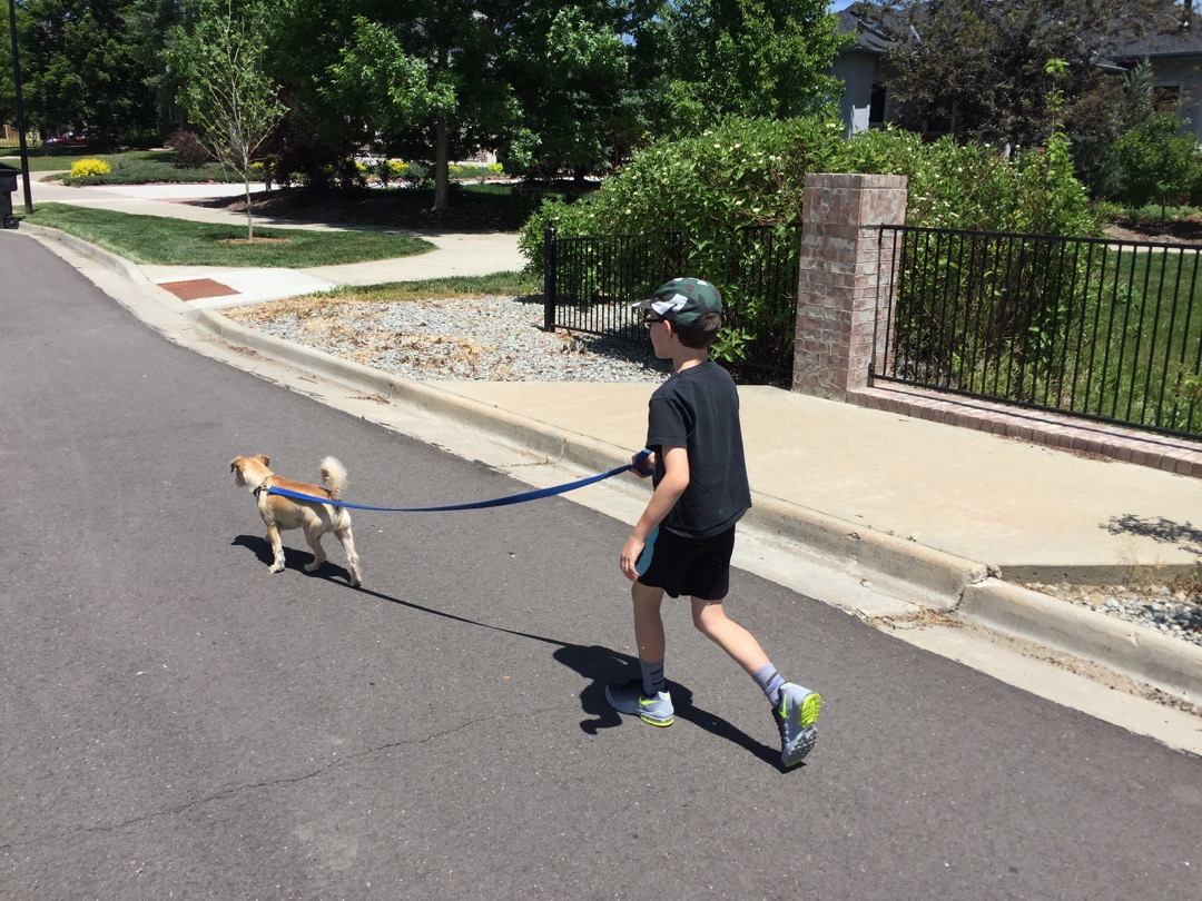 Walking Gatsby