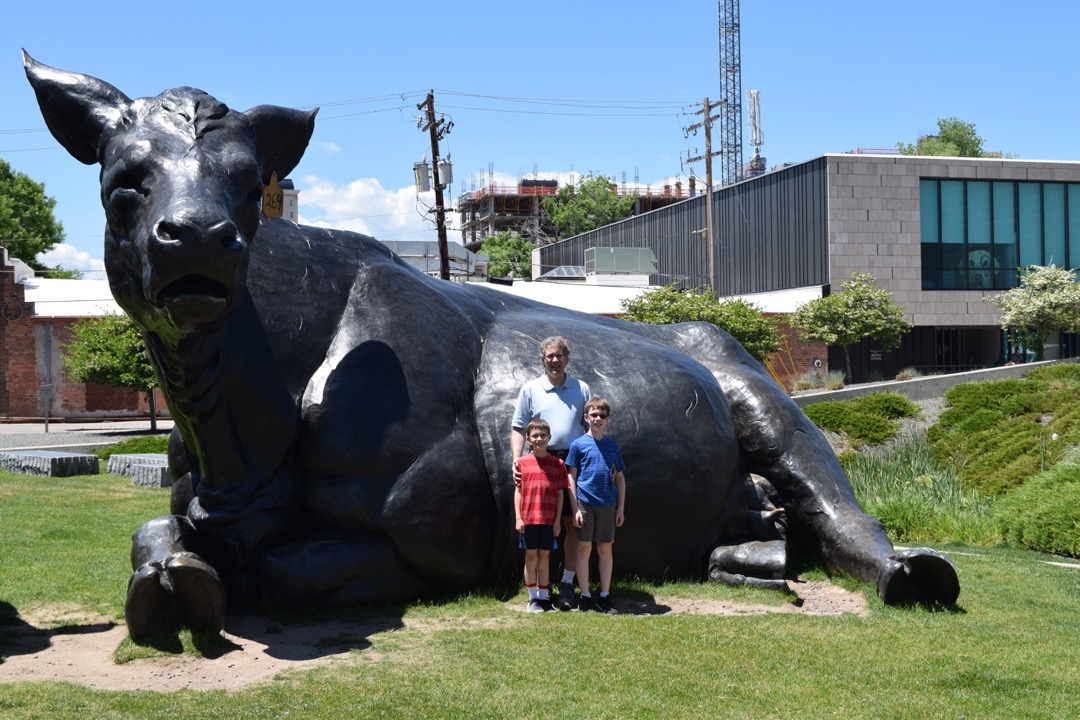 Denver Art Museum Cow