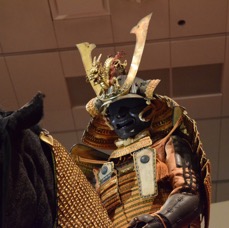 DSC_7487.jpg